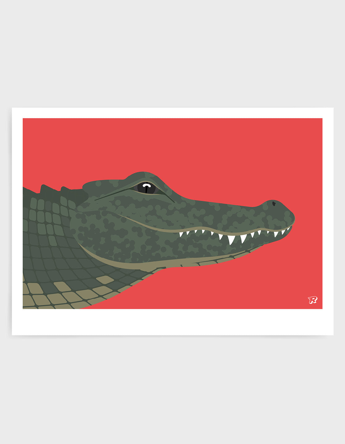 Crocodile