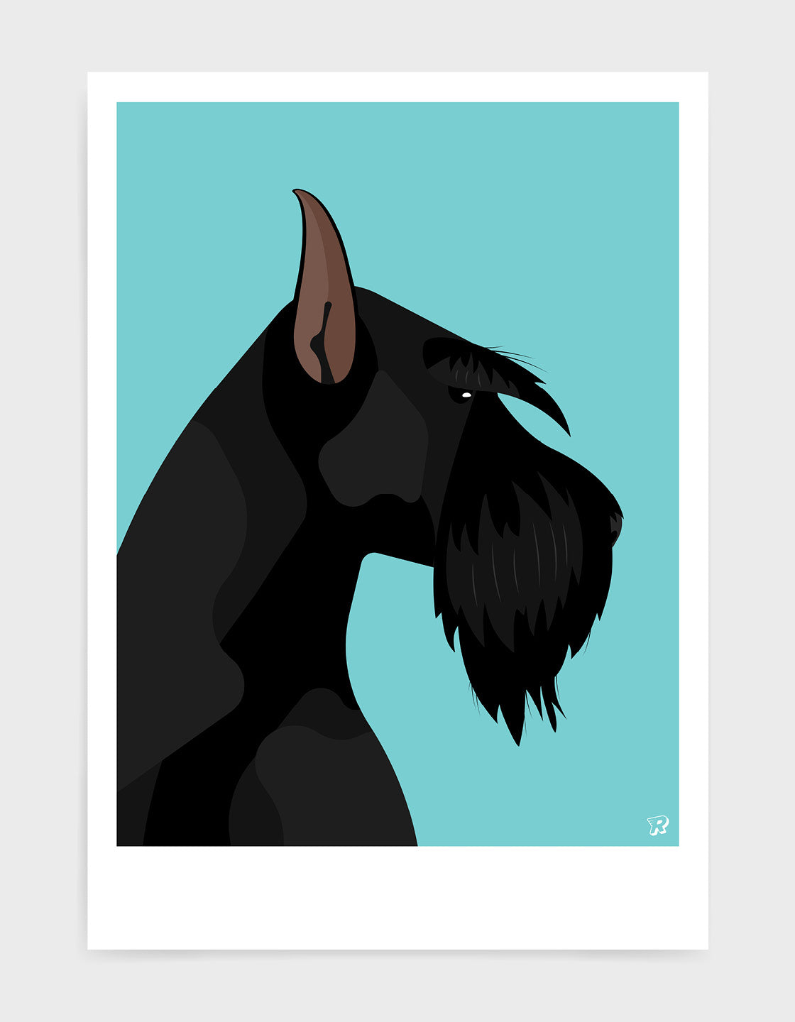 Giant schnauzer
