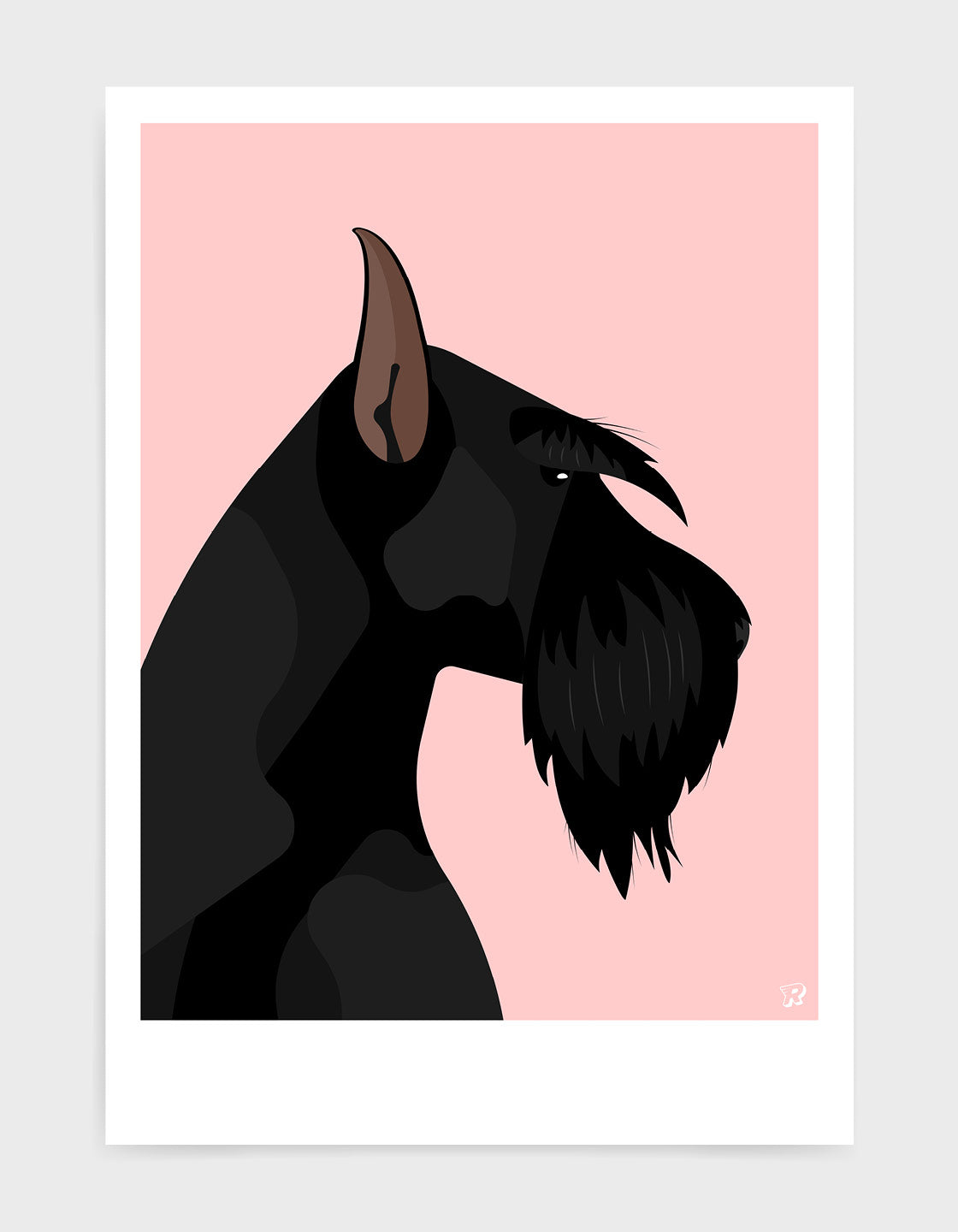 Giant schnauzer
