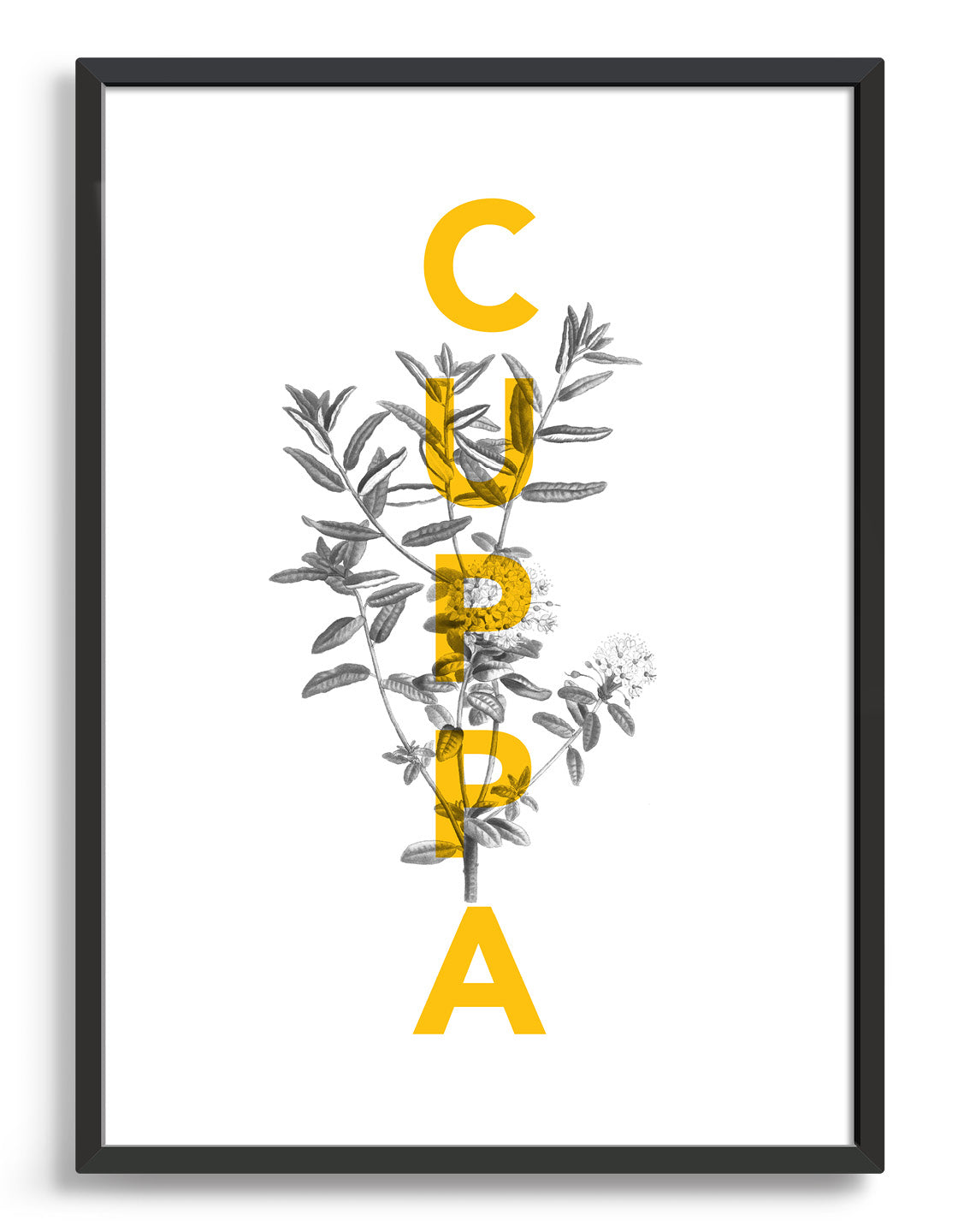 Cuppa typography print - features the text Cuppa in yellow overlaid onto a line drawing of a tea plant