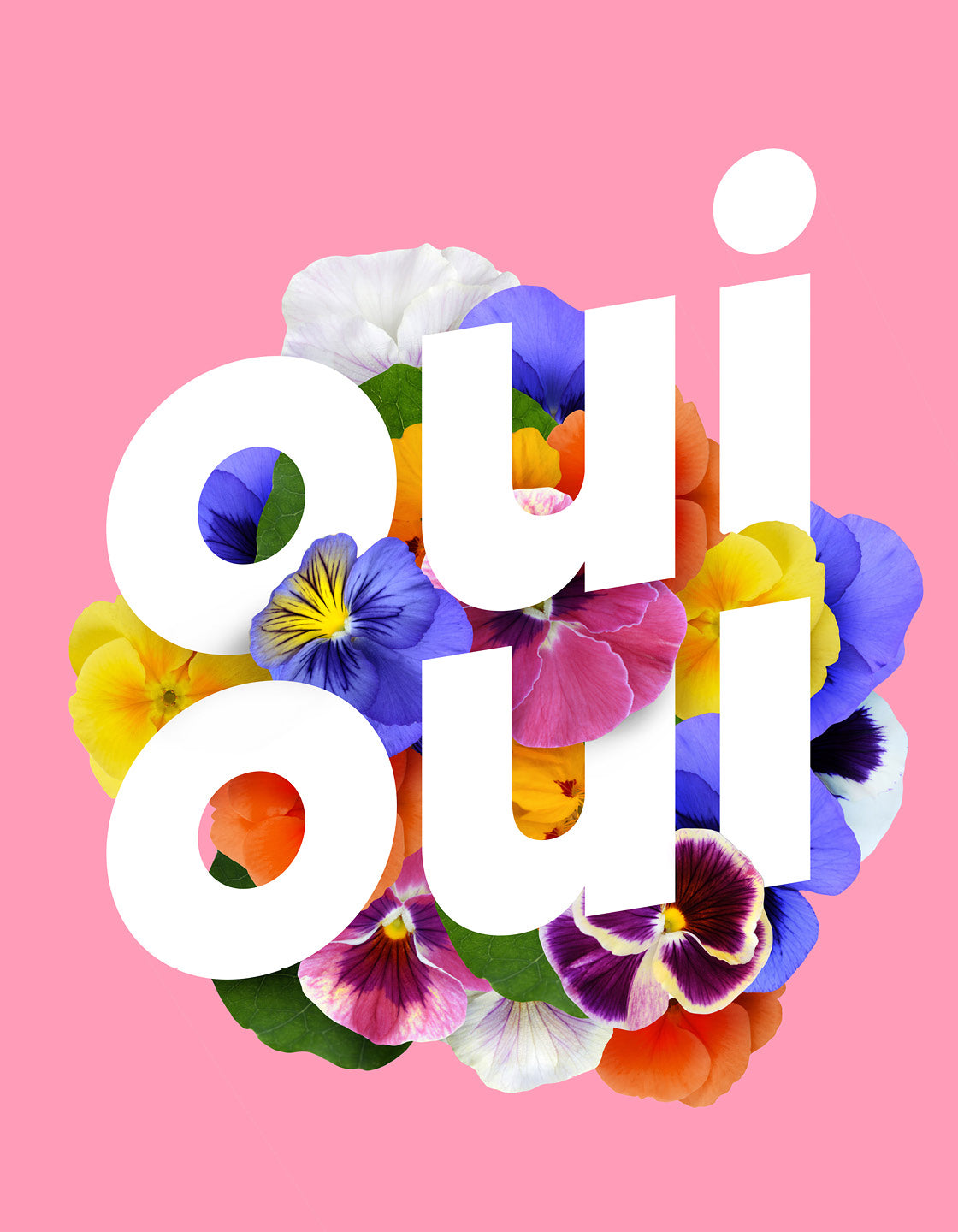 Pink Oui Oui art print with baby pink background and sweetpea flower design