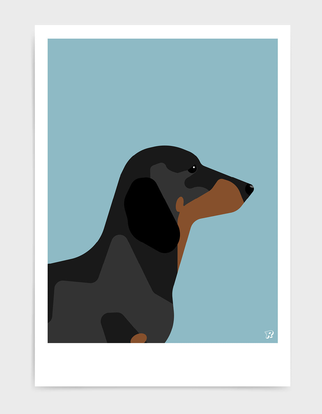 Dachshund