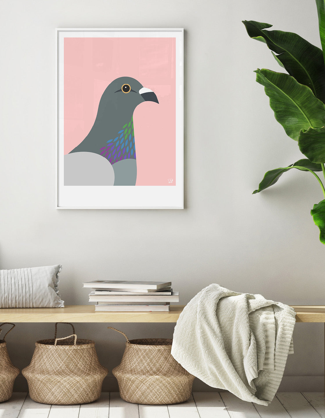 Pigeon