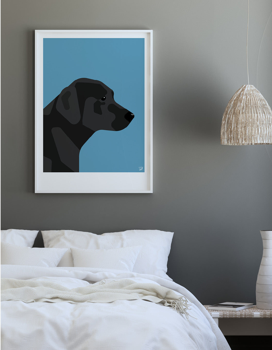 Black labrador