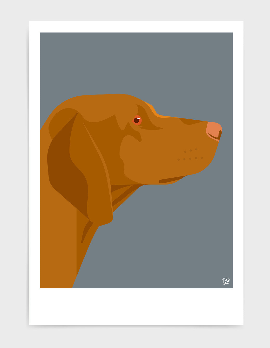 Vizsla