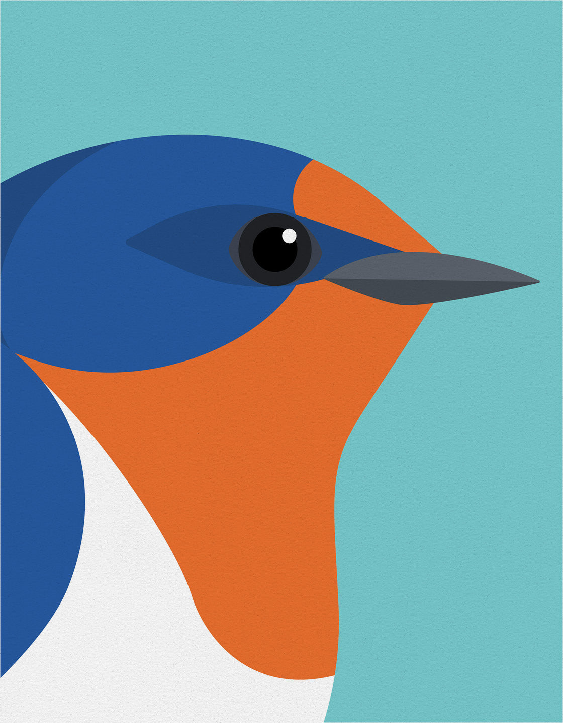 Swallow