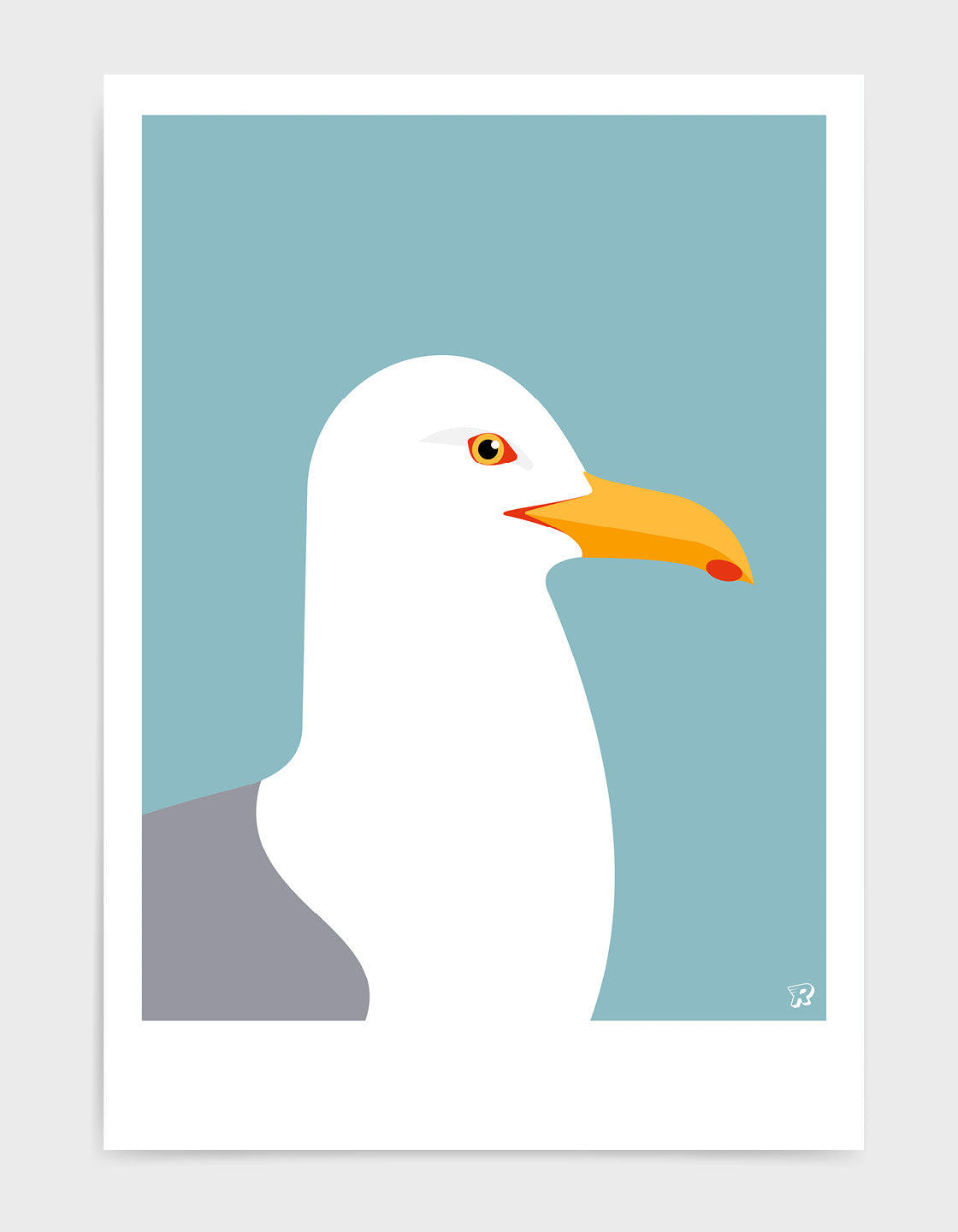 Herring Gull