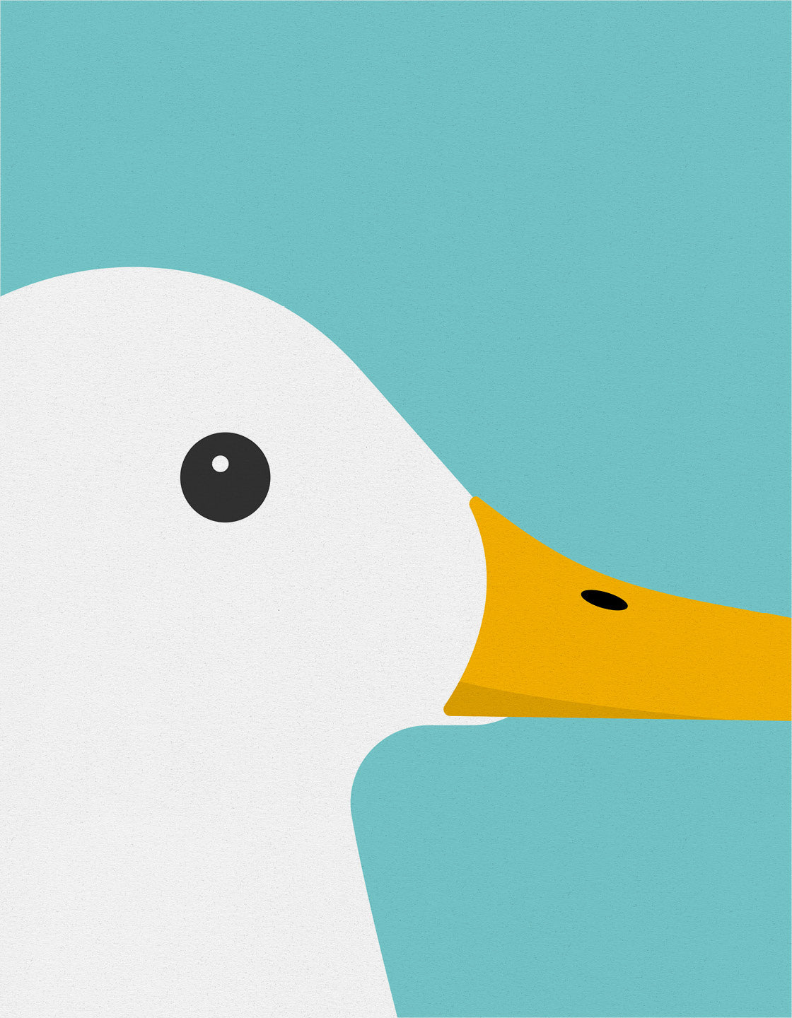 White duck