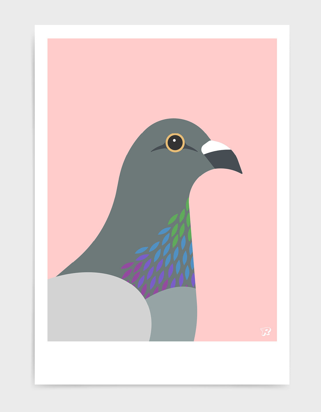 Pigeon
