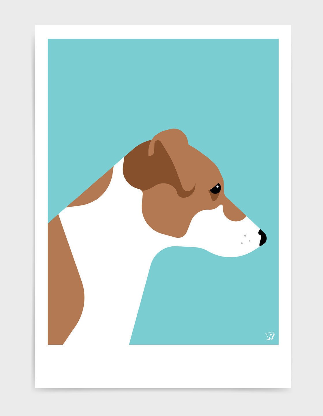 Jack russell terrier