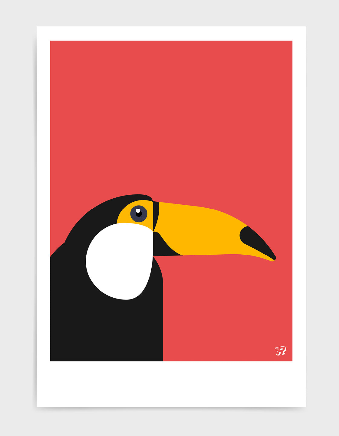 Toucan