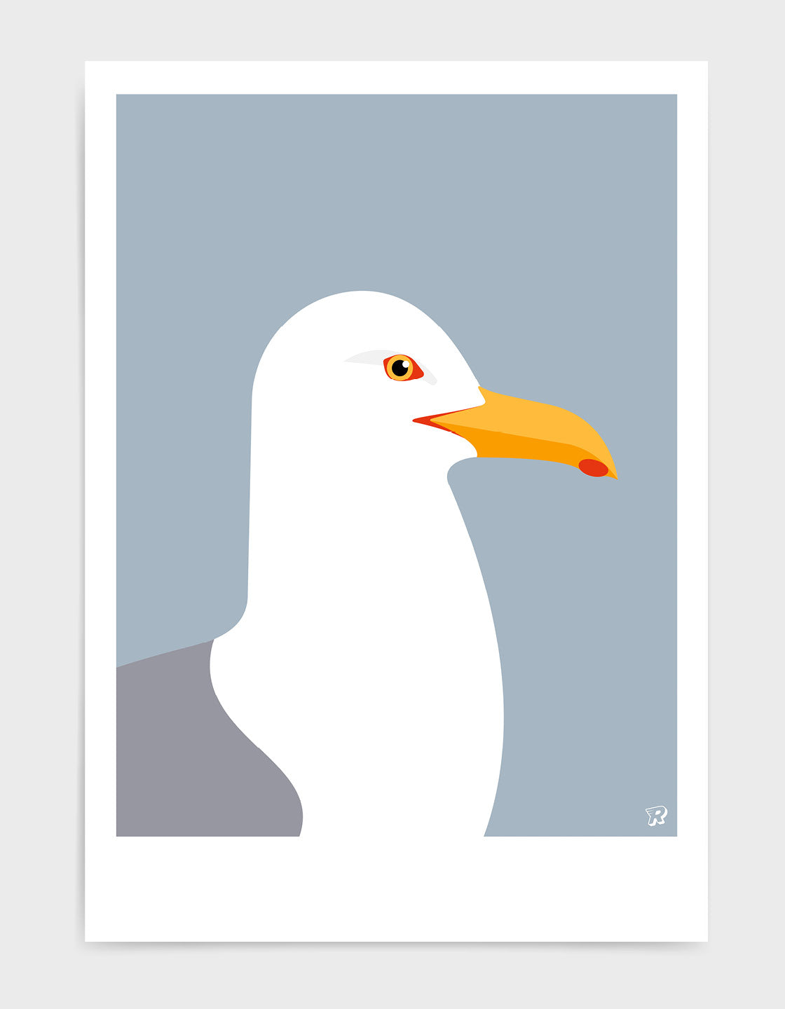 Herring Gull
