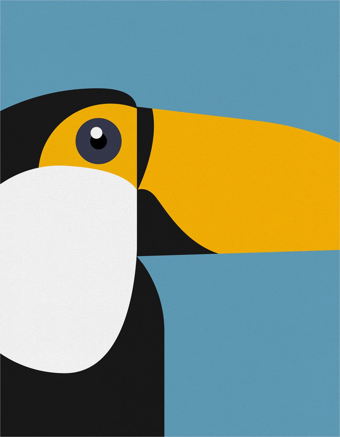 Toucan