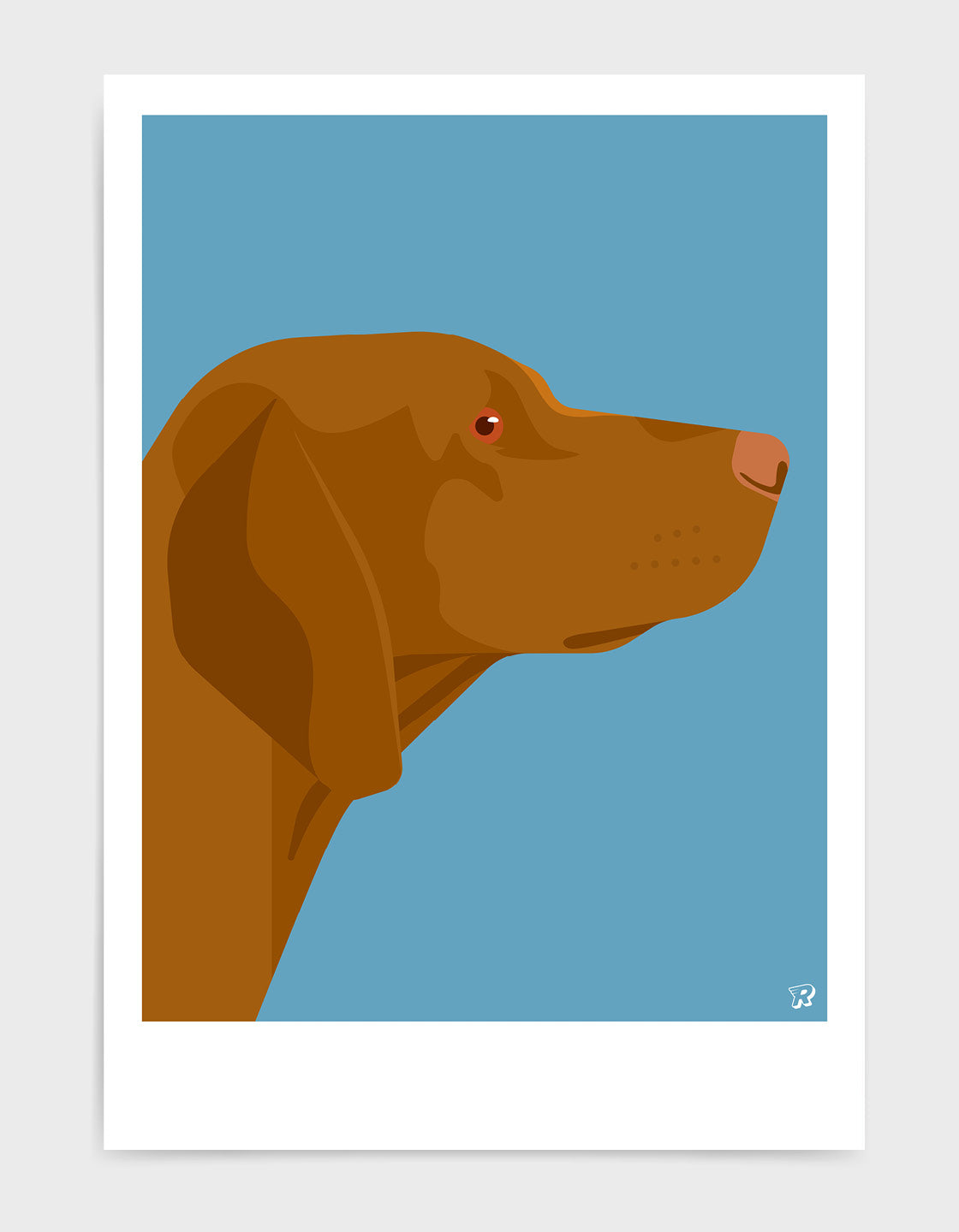 Vizsla