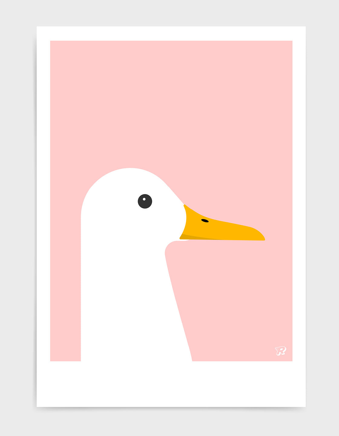 White duck
