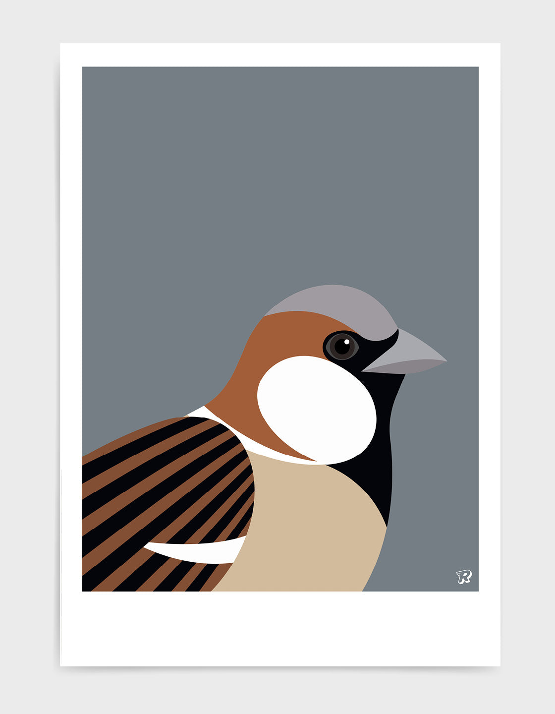 Sparrow