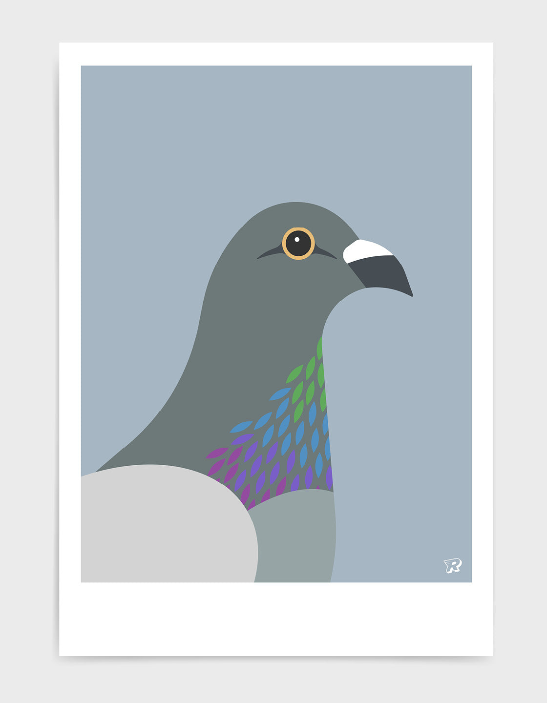 Pigeon