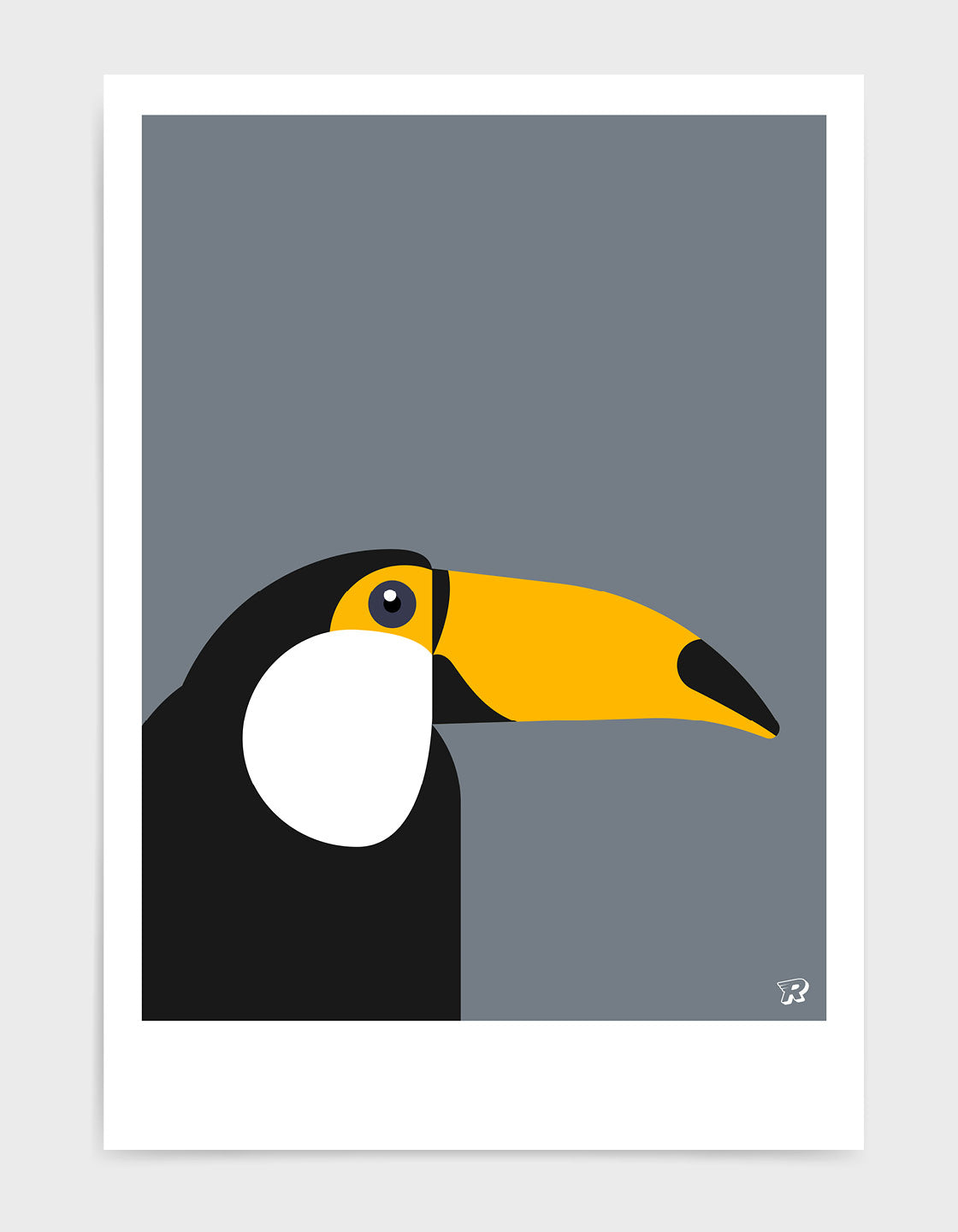 Toucan