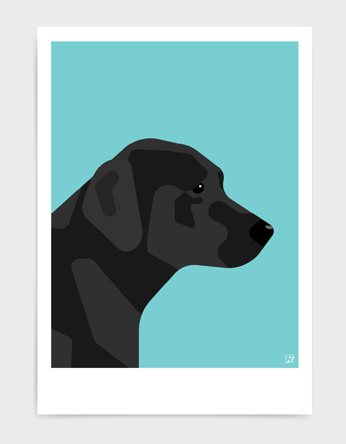 Black labrador