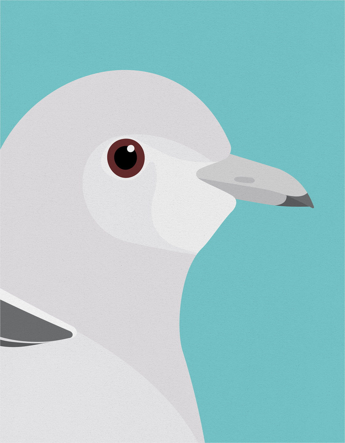 Dove