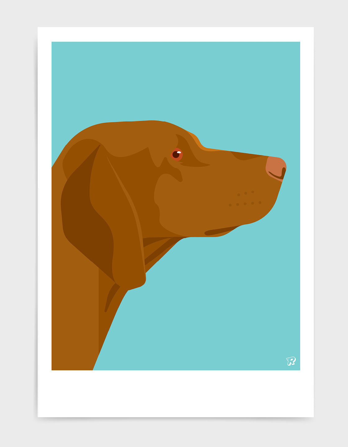 Vizsla