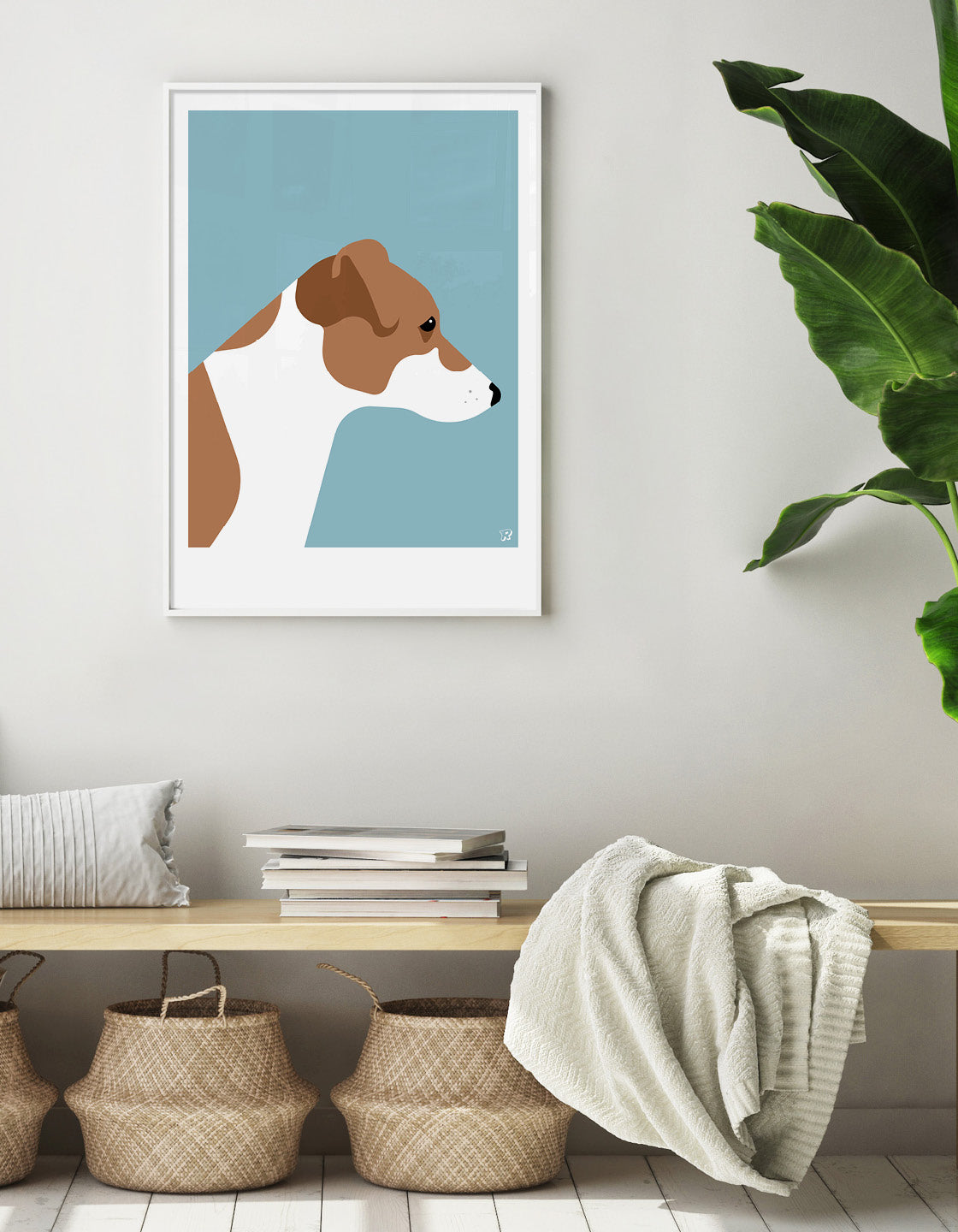 Jack russell terrier