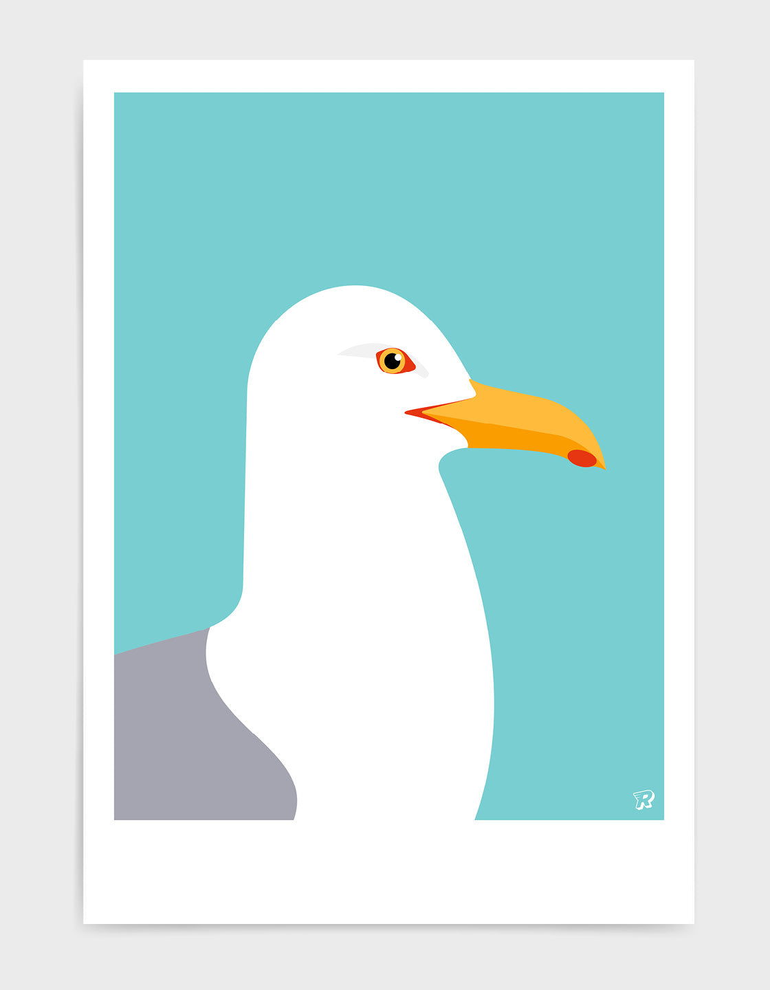 Herring Gull