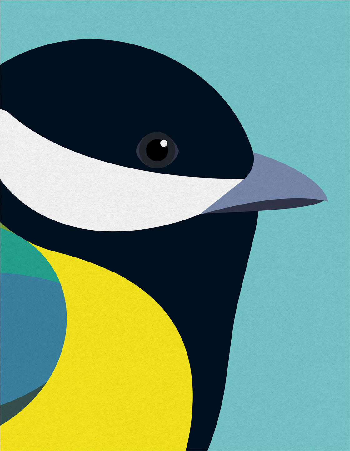 Great Tit