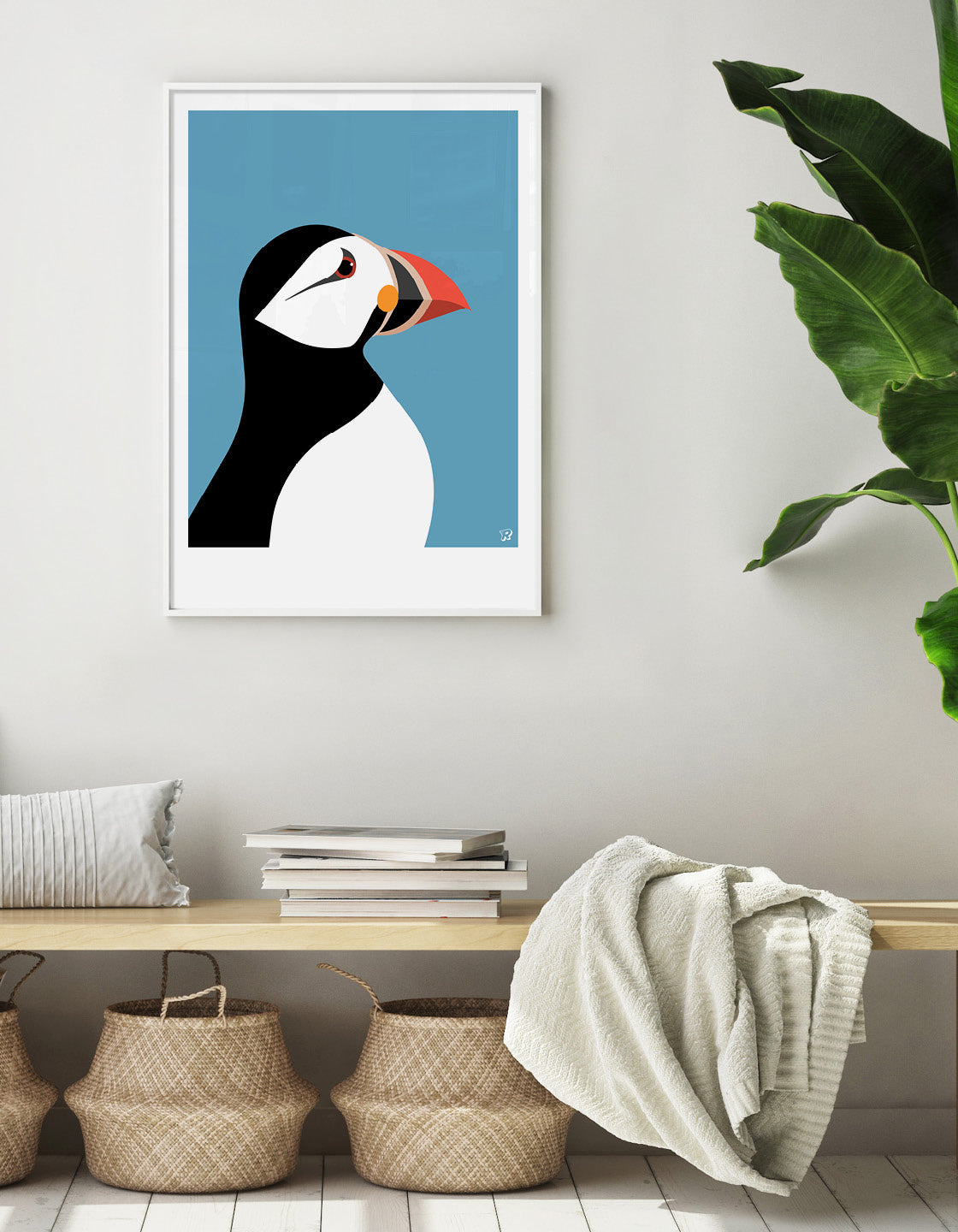 Puffin