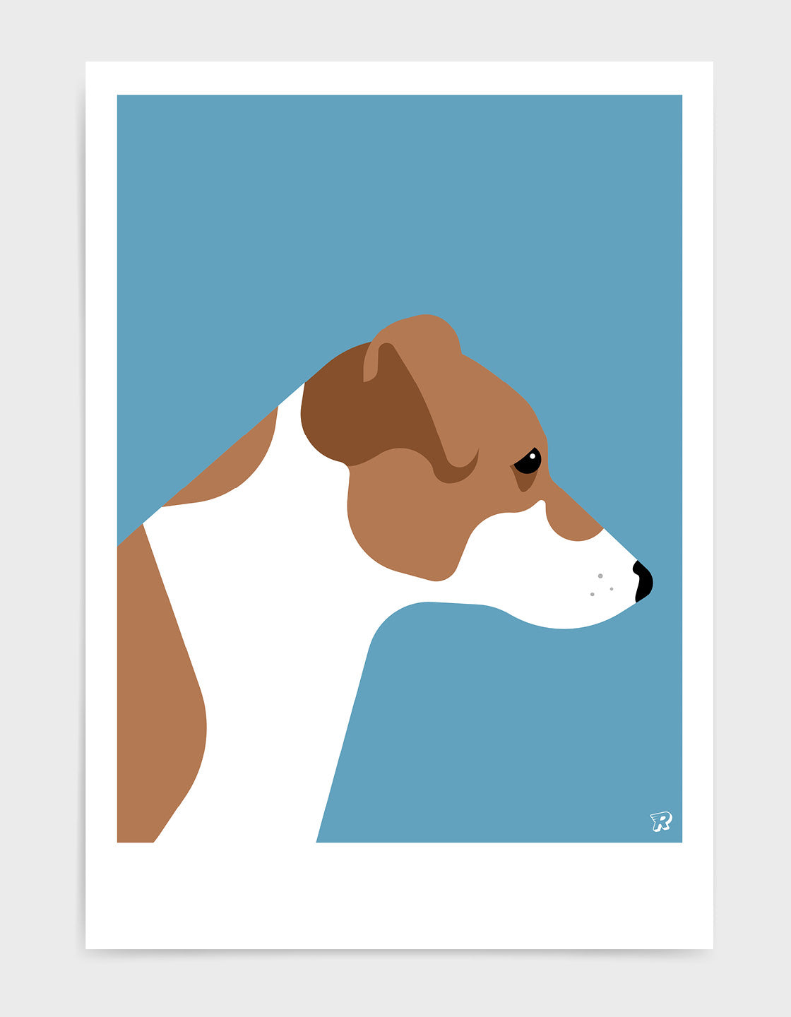 Jack russell terrier
