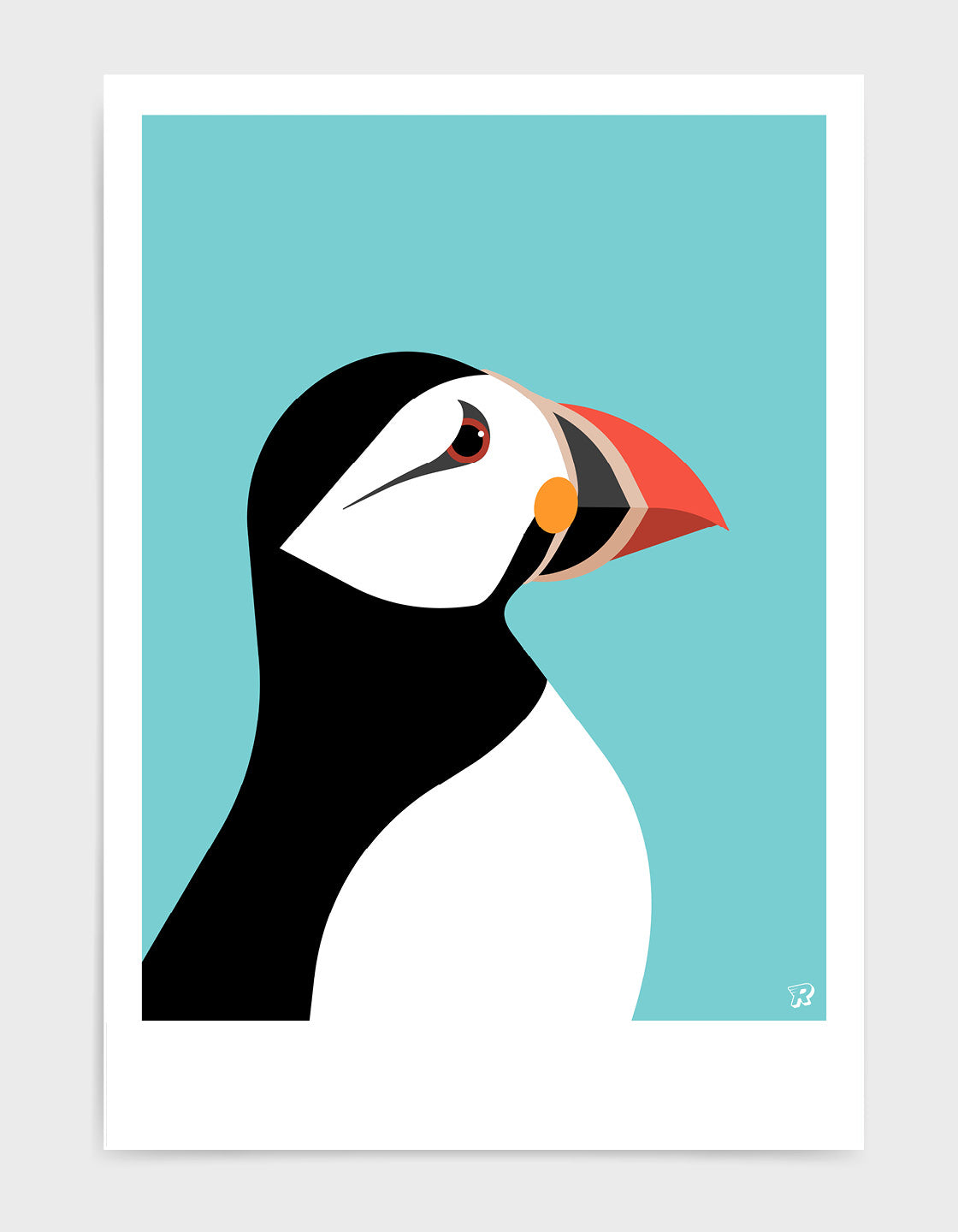 Puffin