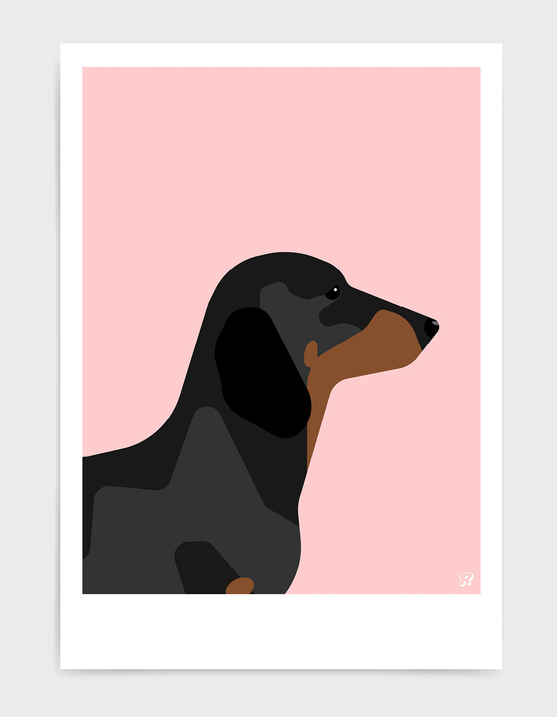 Dachshund