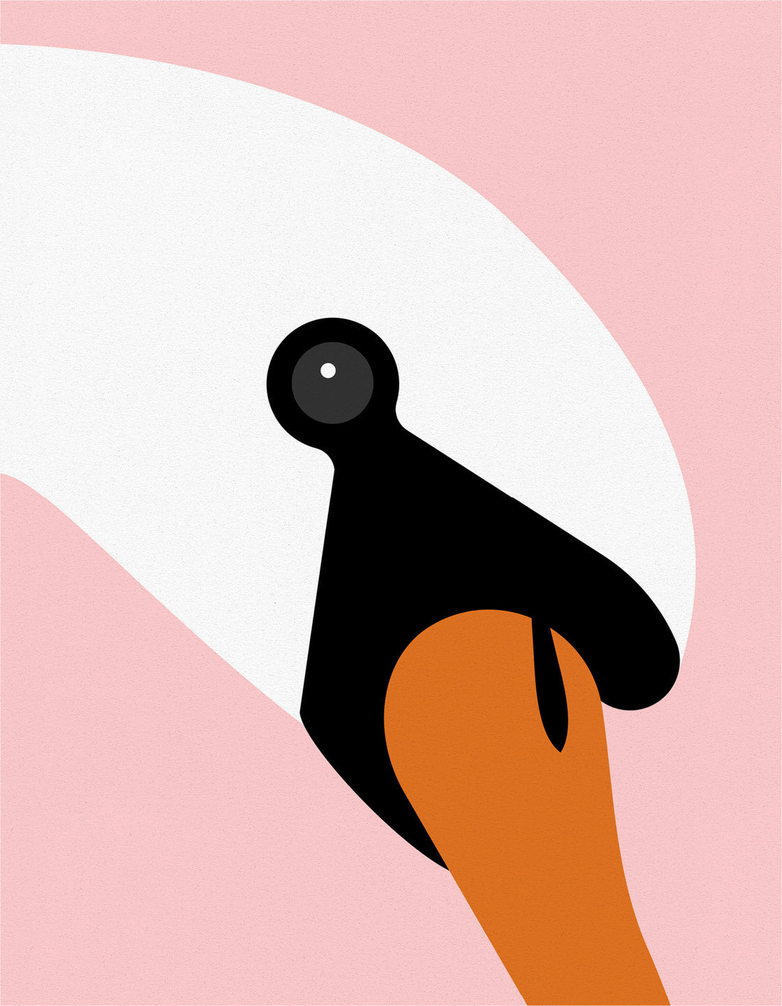 Swan pair