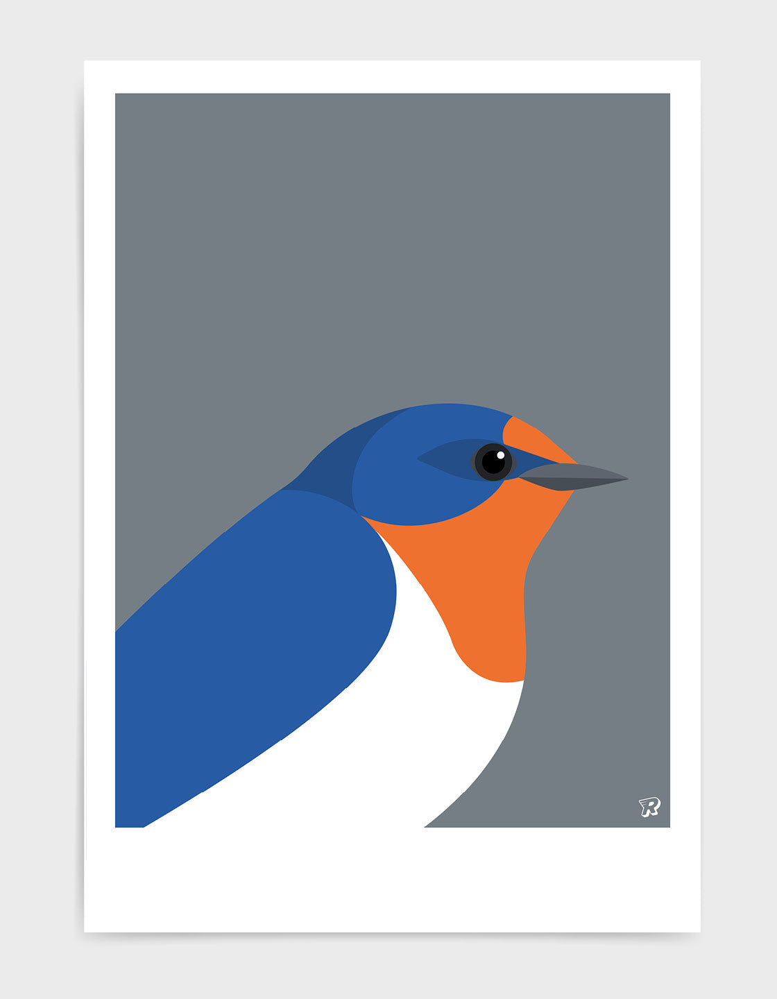 Swallow