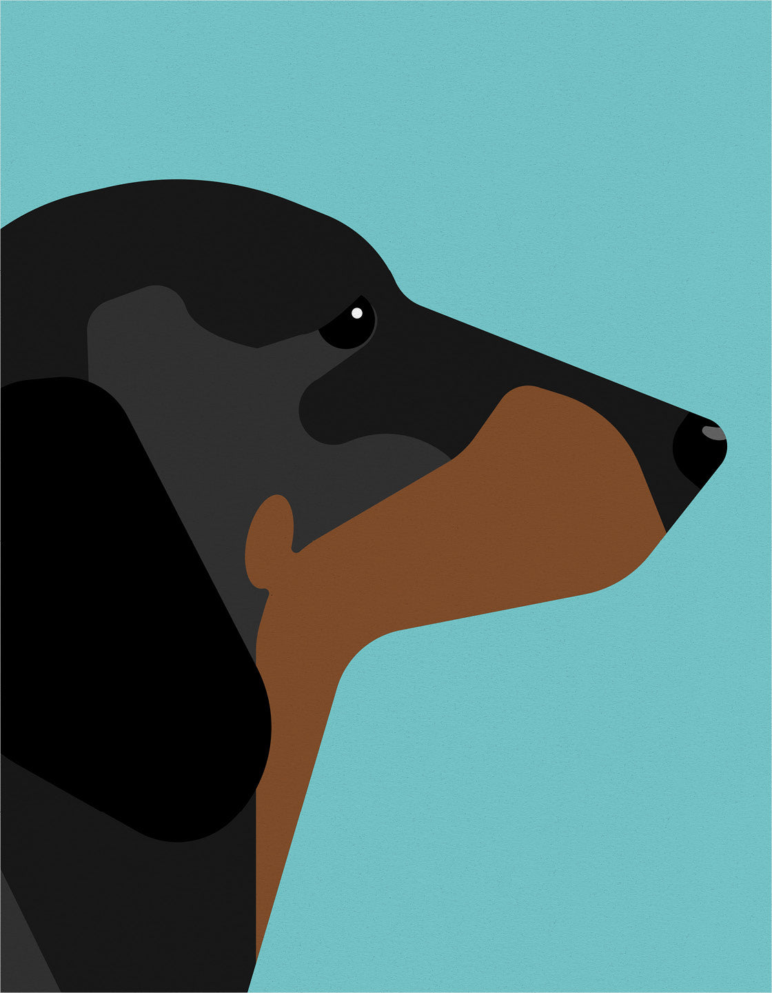 Dachshund