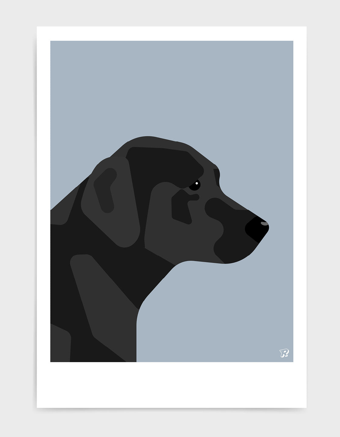 Black labrador
