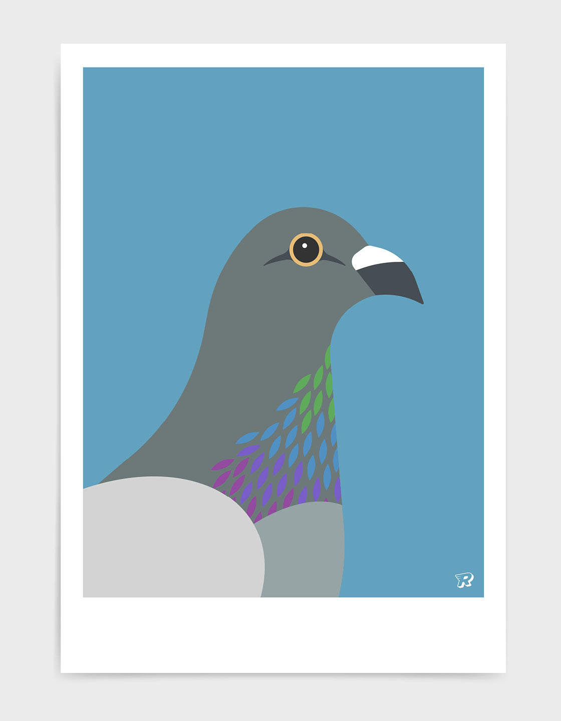 Pigeon