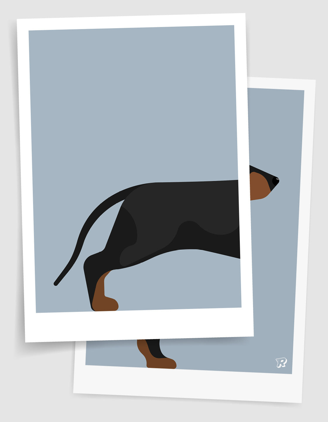 Sausage dog pair