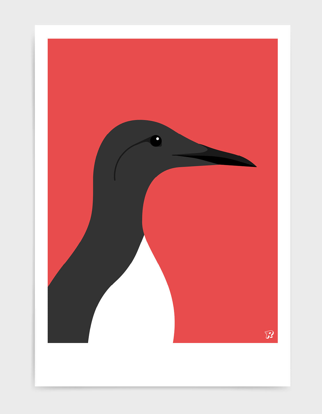 Guillemot