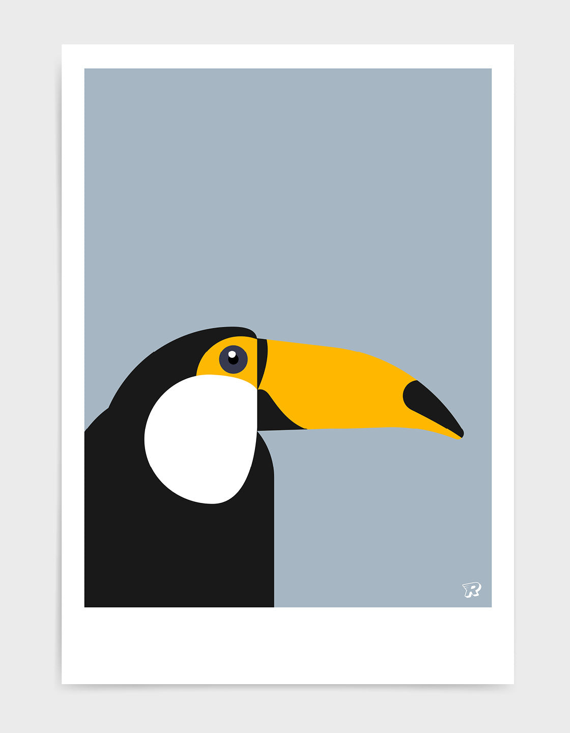 Toucan