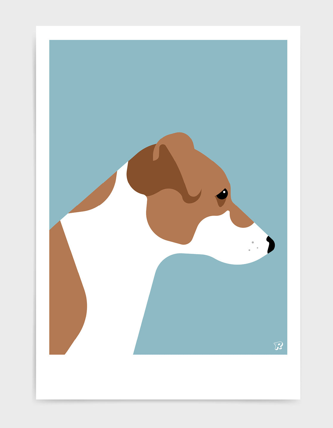 Jack russell terrier