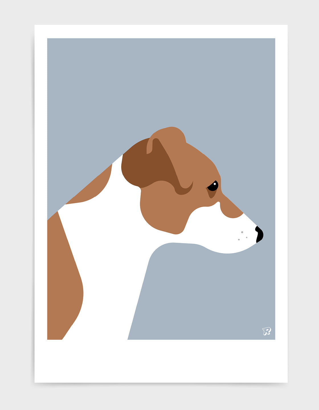 Jack russell terrier