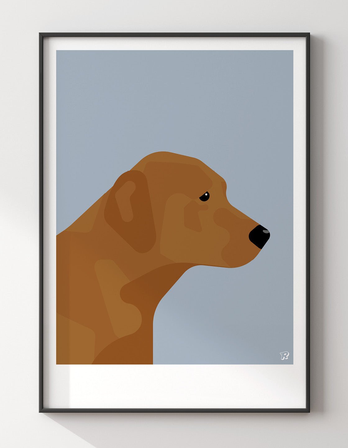 Fox red labrador