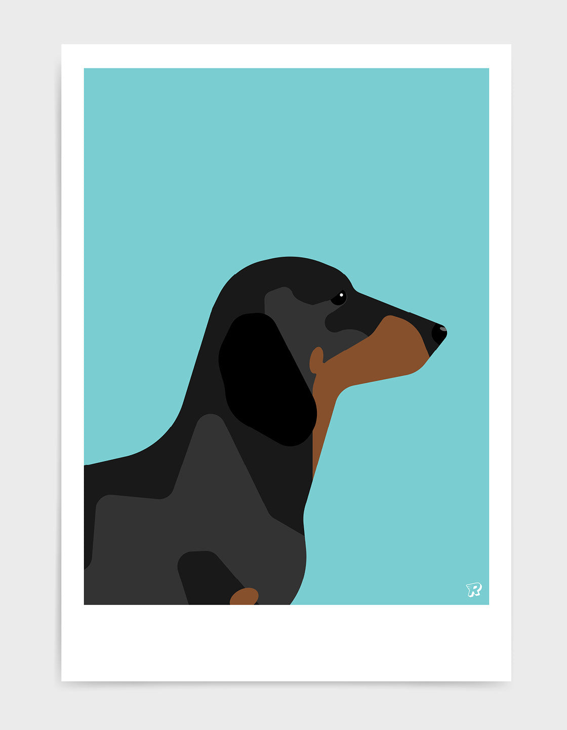 Dachshund