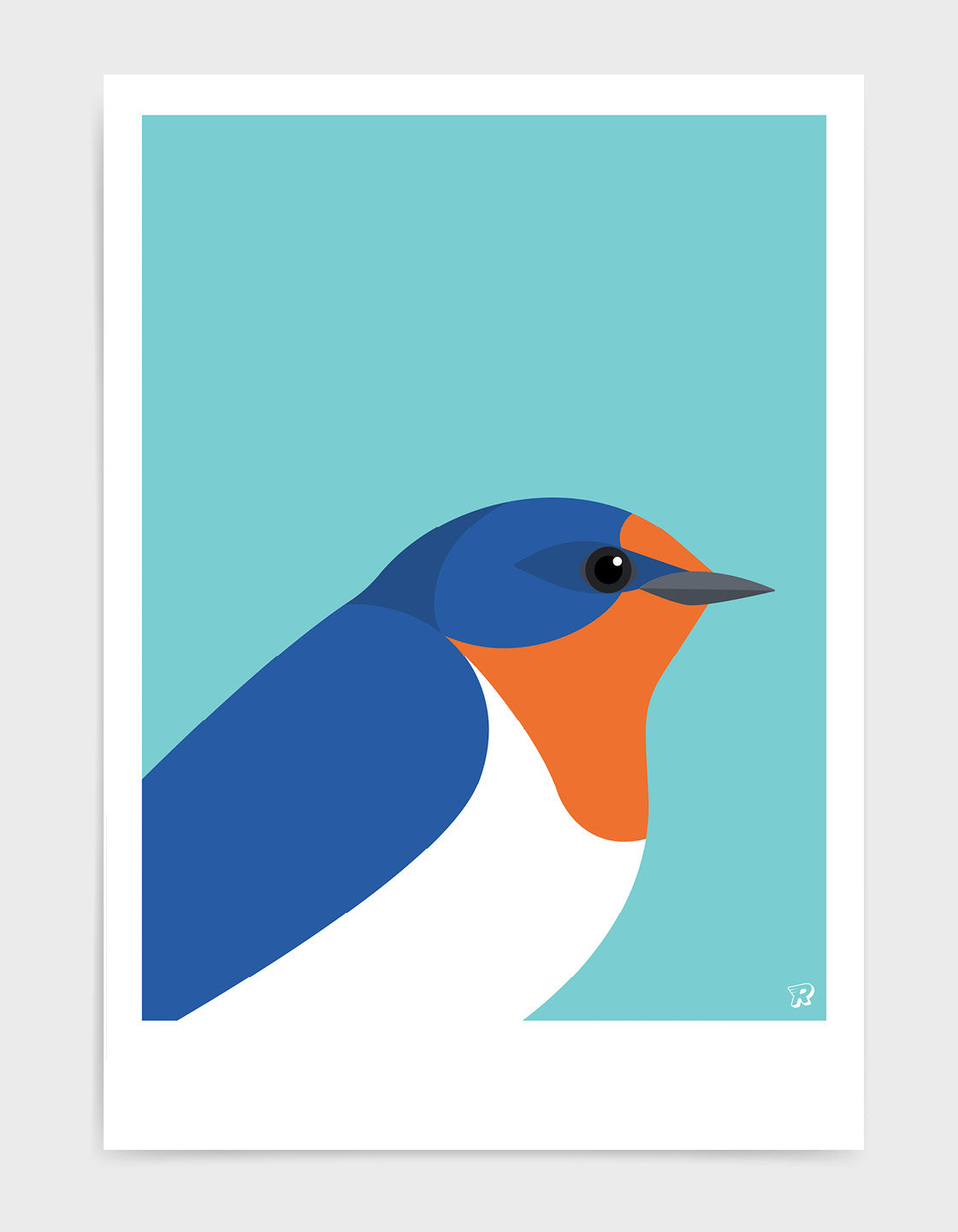 Swallow