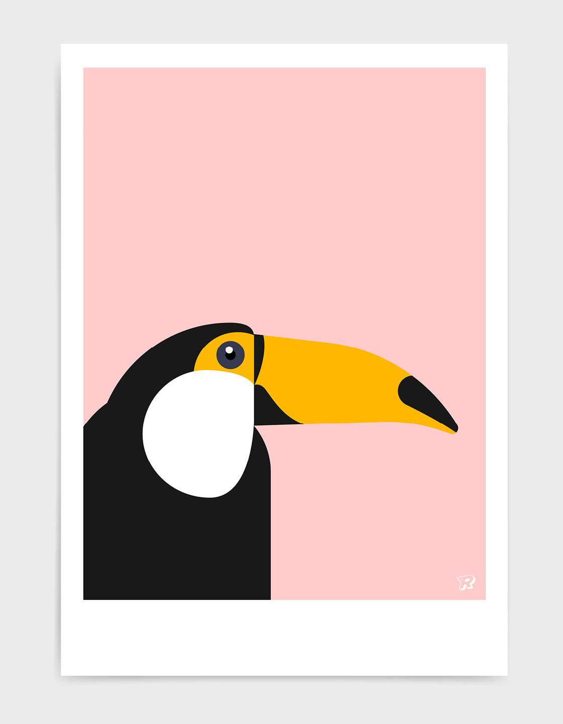 Toucan