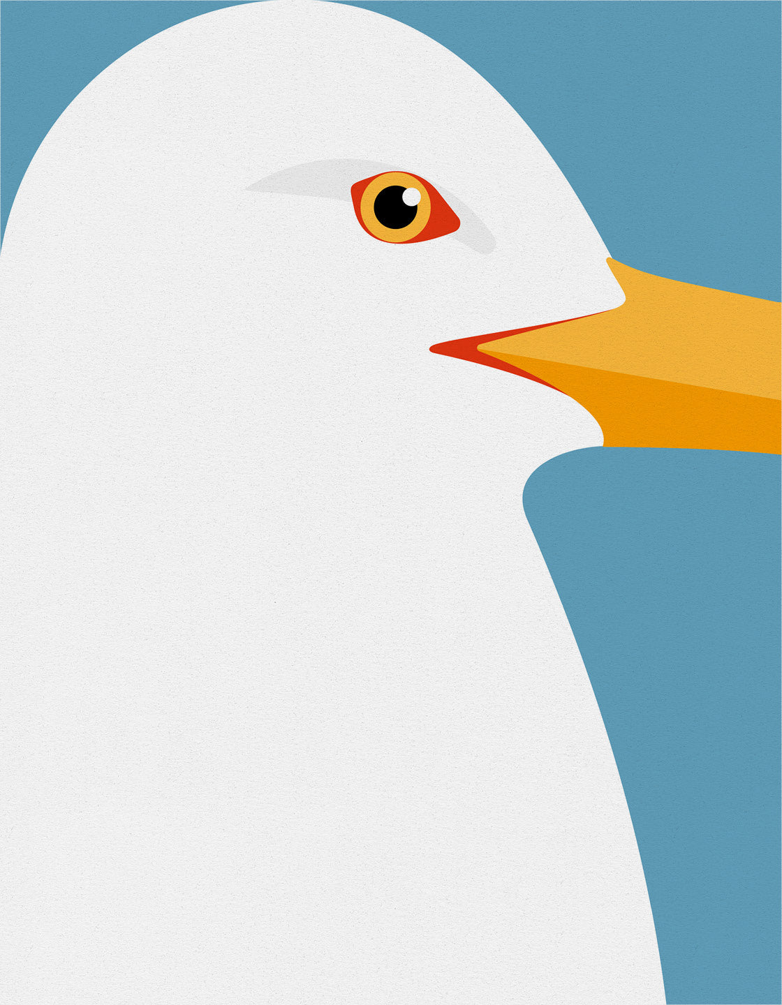 Herring Gull