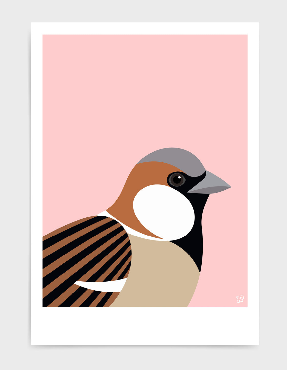 Sparrow