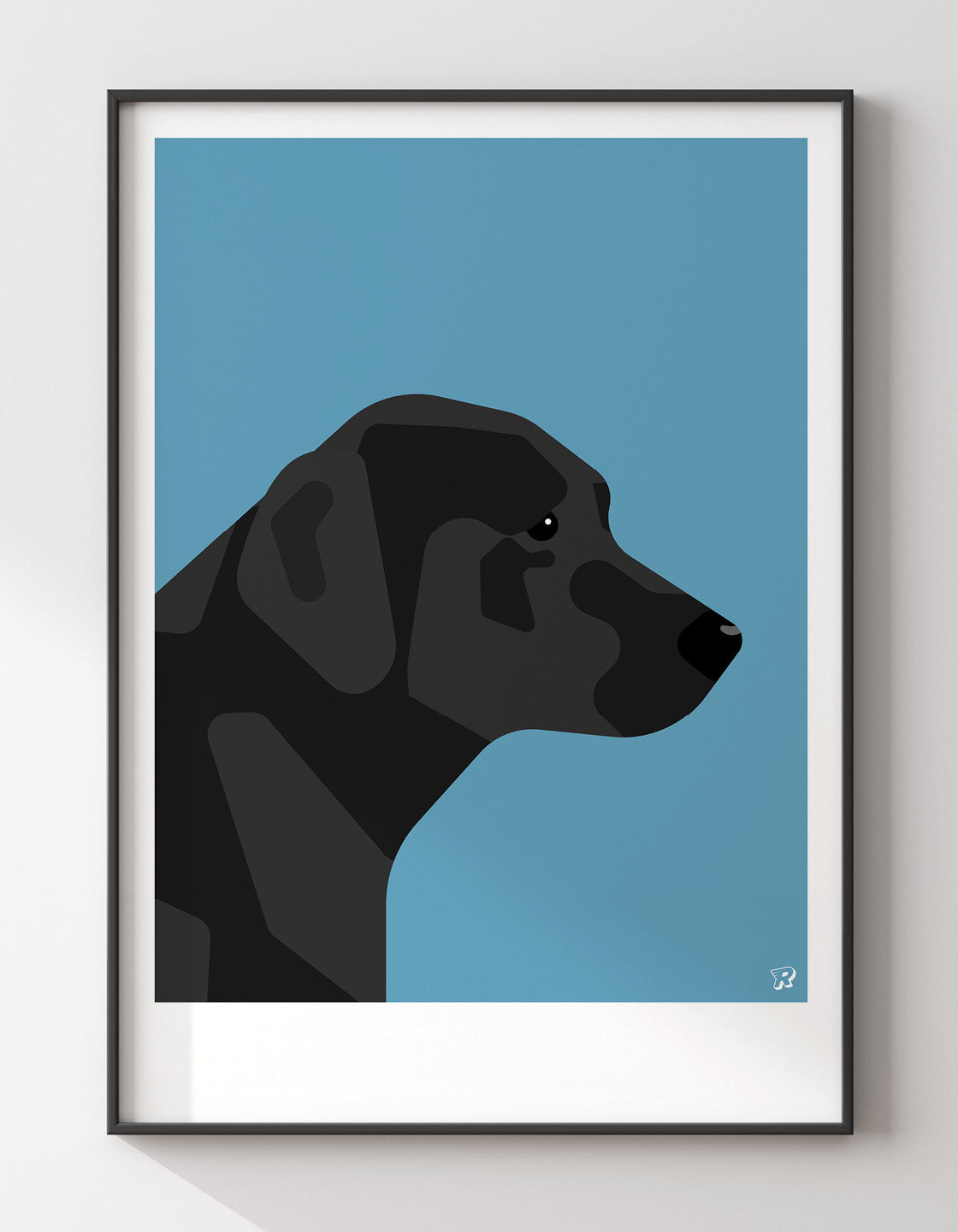 Black labrador