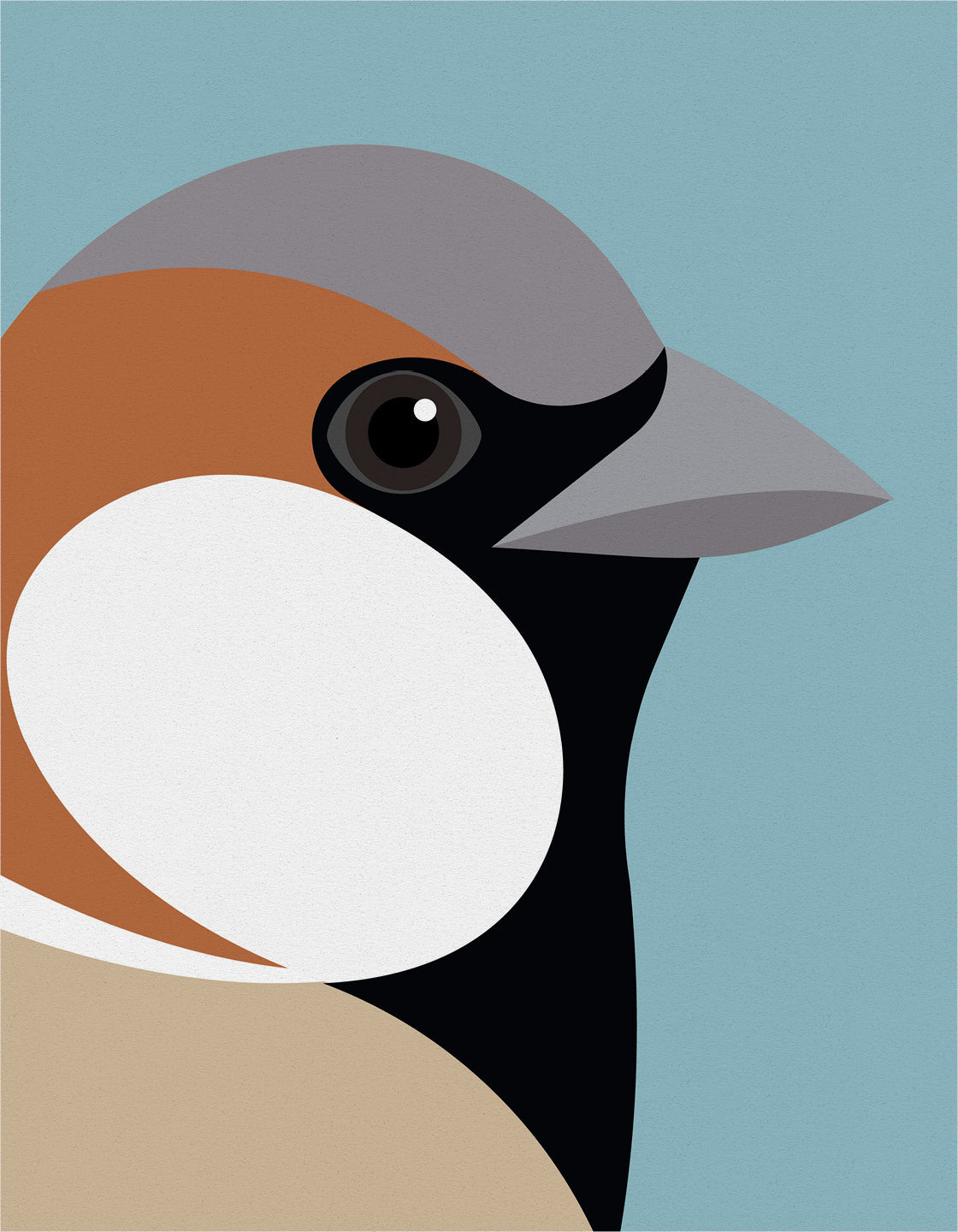 Sparrow